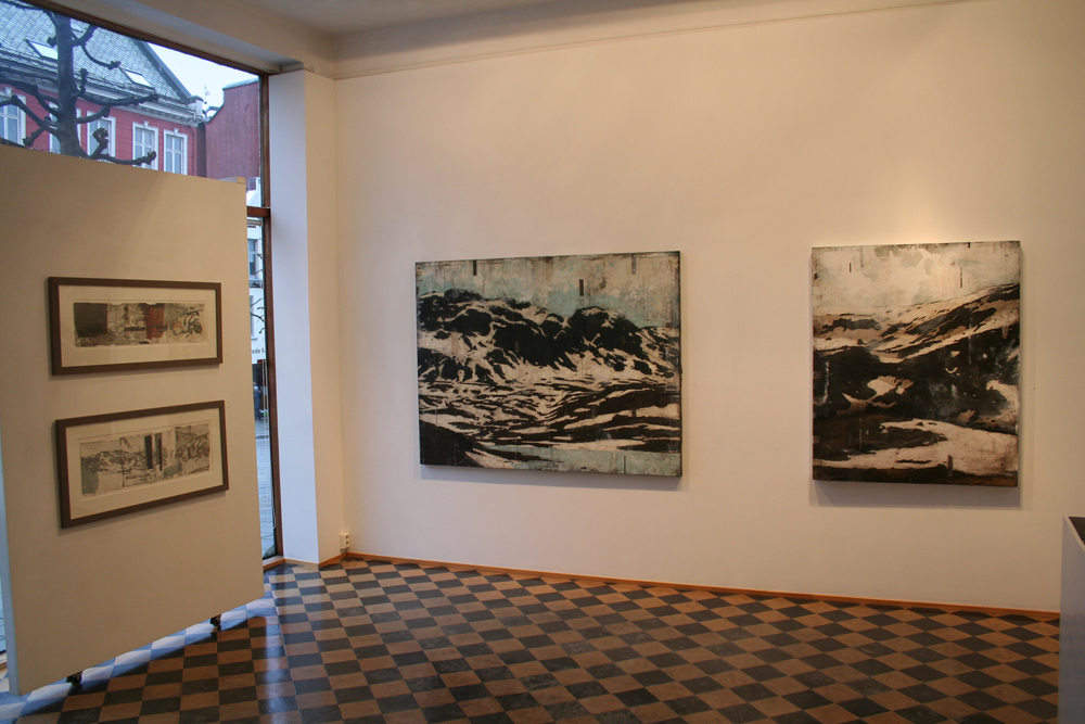 Exhibition Allmenningen 2014.